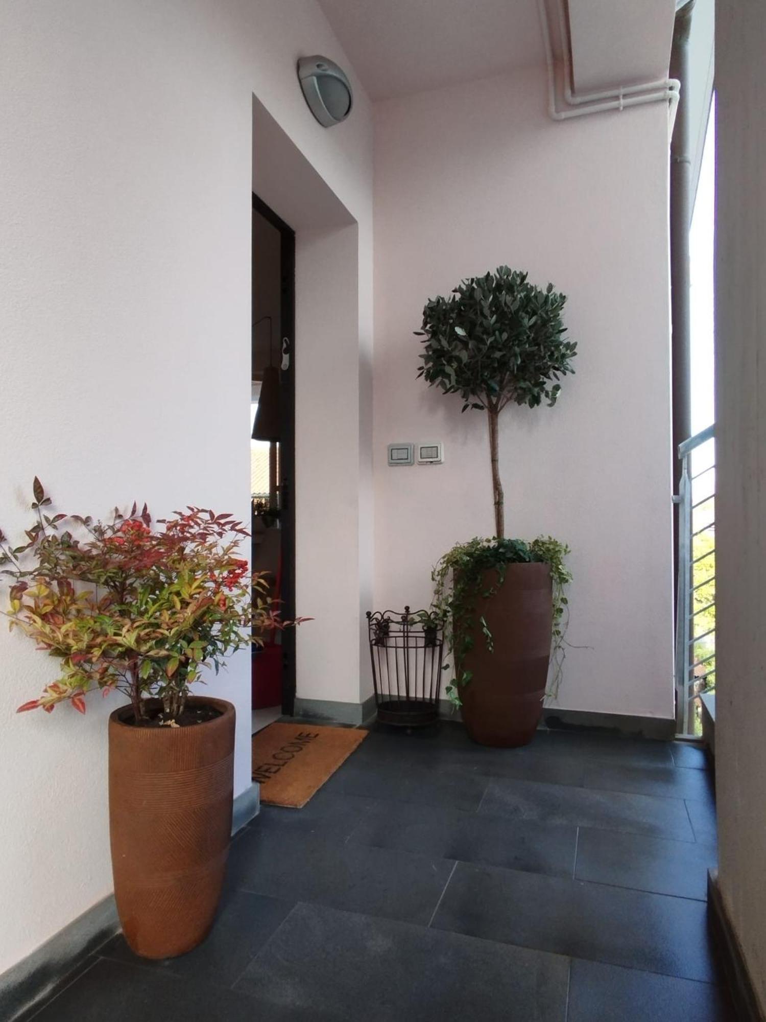 Casa Degli Aromi Apartment Лука Екстериор снимка
